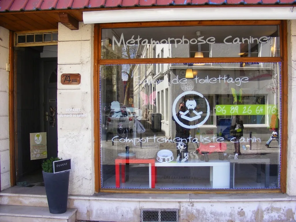 Metamorphose Canine - photo 2
