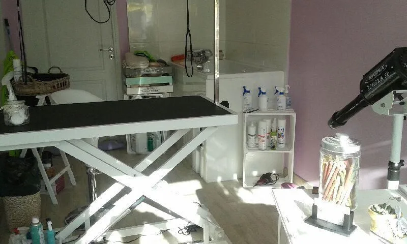 La maison de Choupette - photo 3