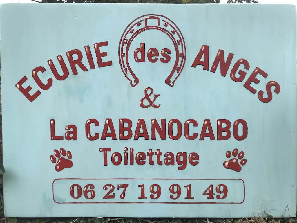 Dog Wash - photo 2