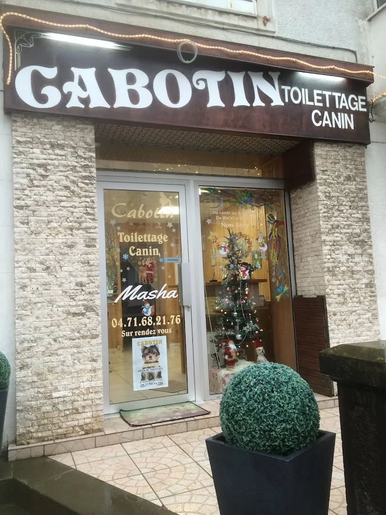 Toutou Doux - photo 2