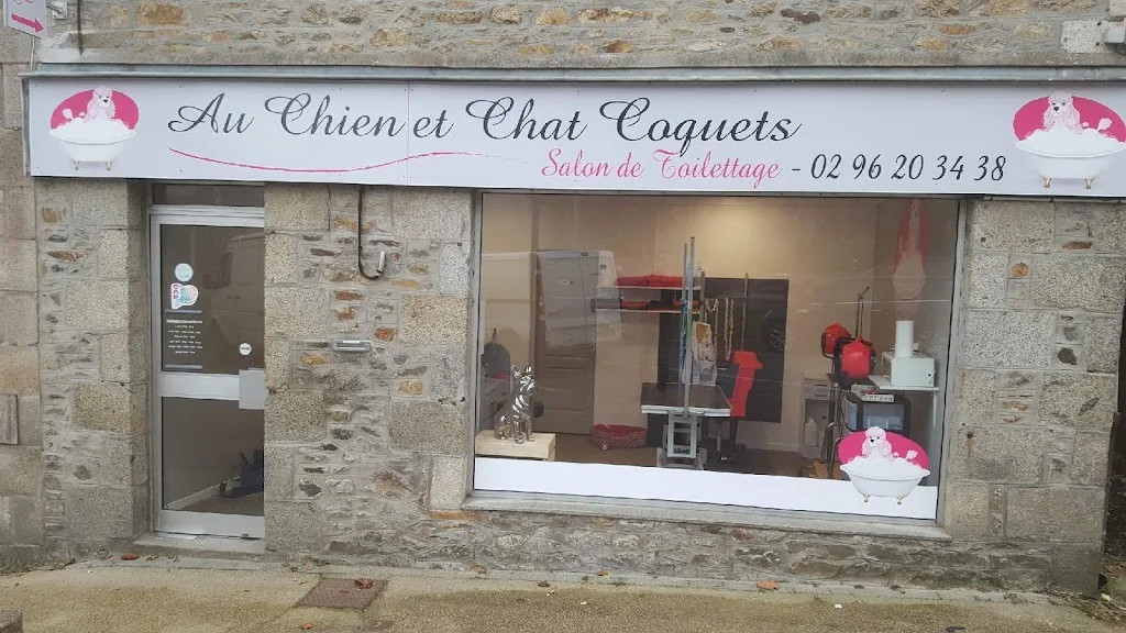 Breizh Canin - photo 3