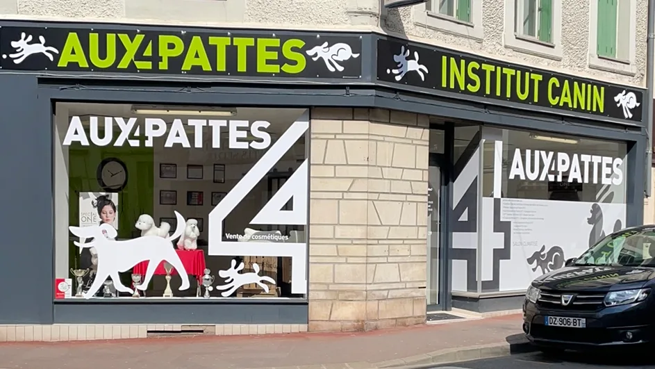 Aux 4 pattes - photo 3