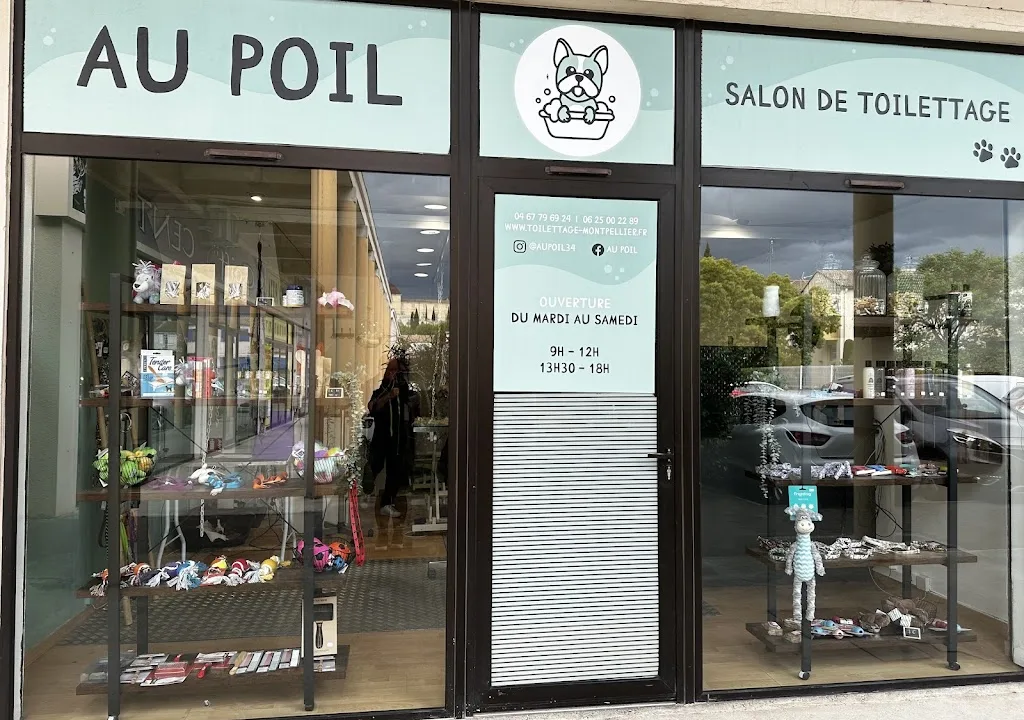 Styl'Canin - photo 3