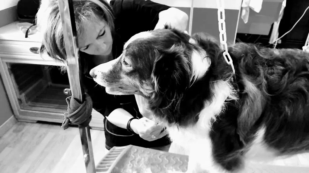 Lili&Compagnie - photo 1