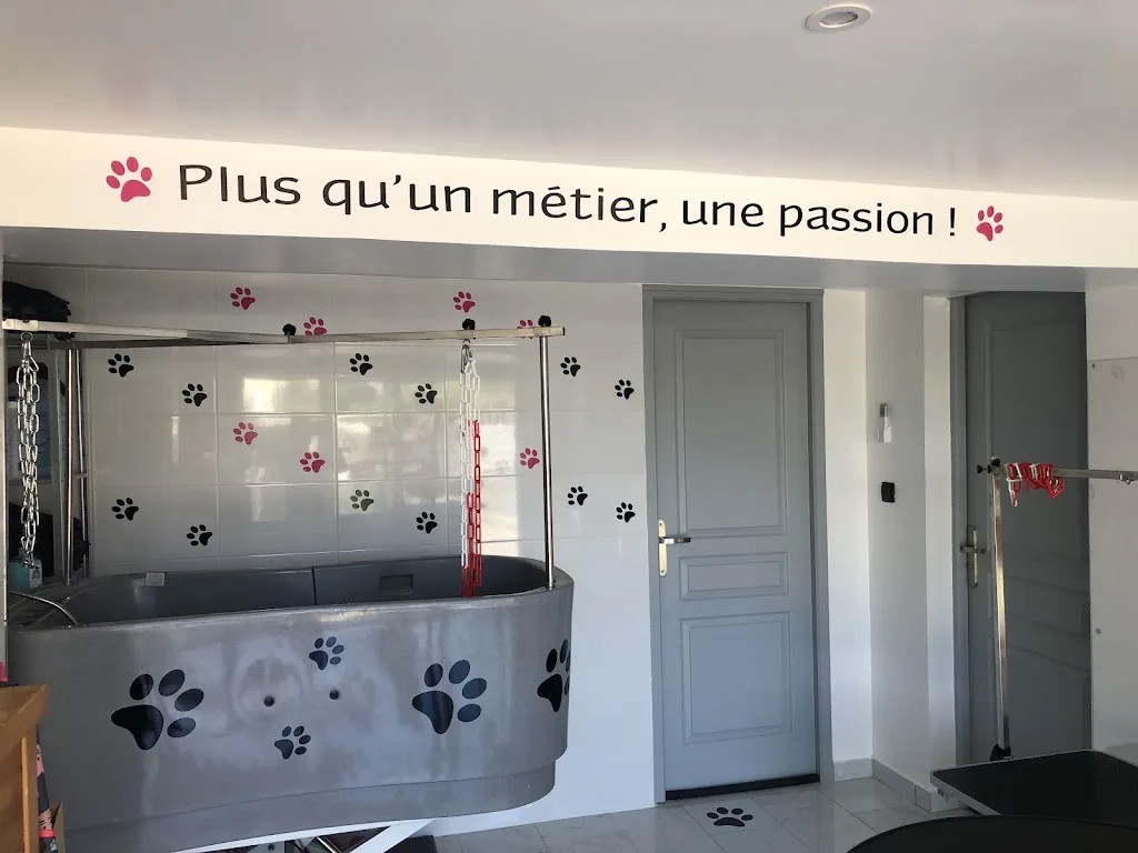 L'atelier canin - photo 2
