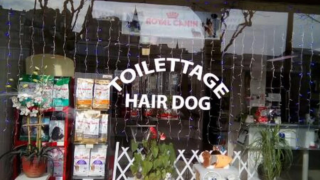 Hair Dog - photo 2