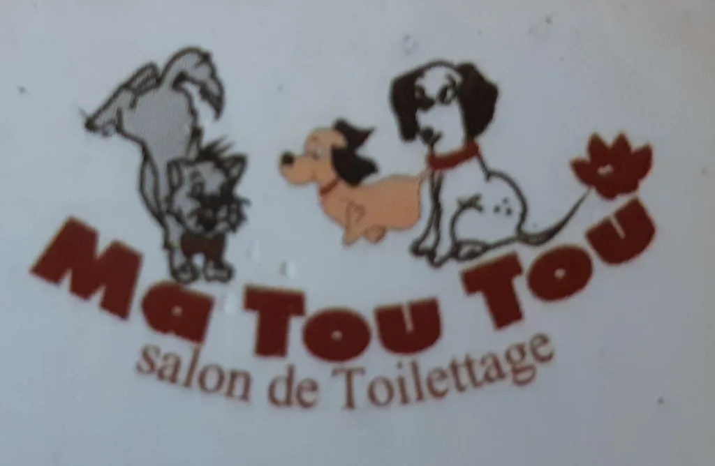 Ma Tou Tou - photo 3