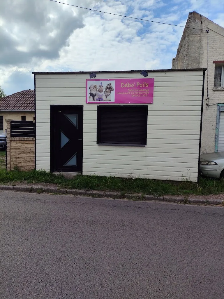 Débo Poils - photo 3