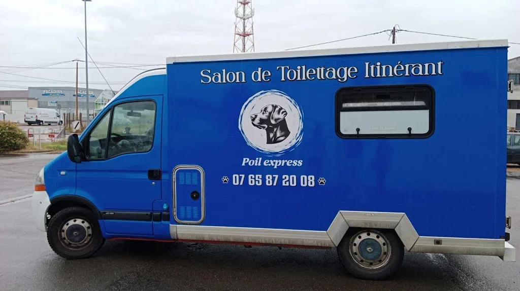 Poil express toiletteur à domicile - photo 2