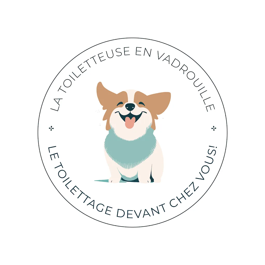 Le toilettage en vadrouille - photo 1
