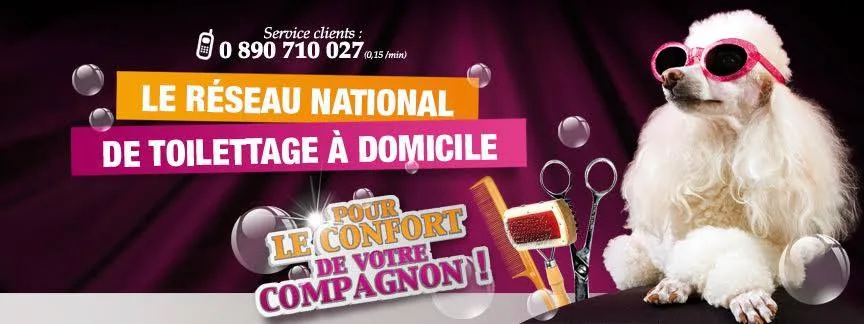 Nel Fri'zou (Toilettage à domicile) - photo 2