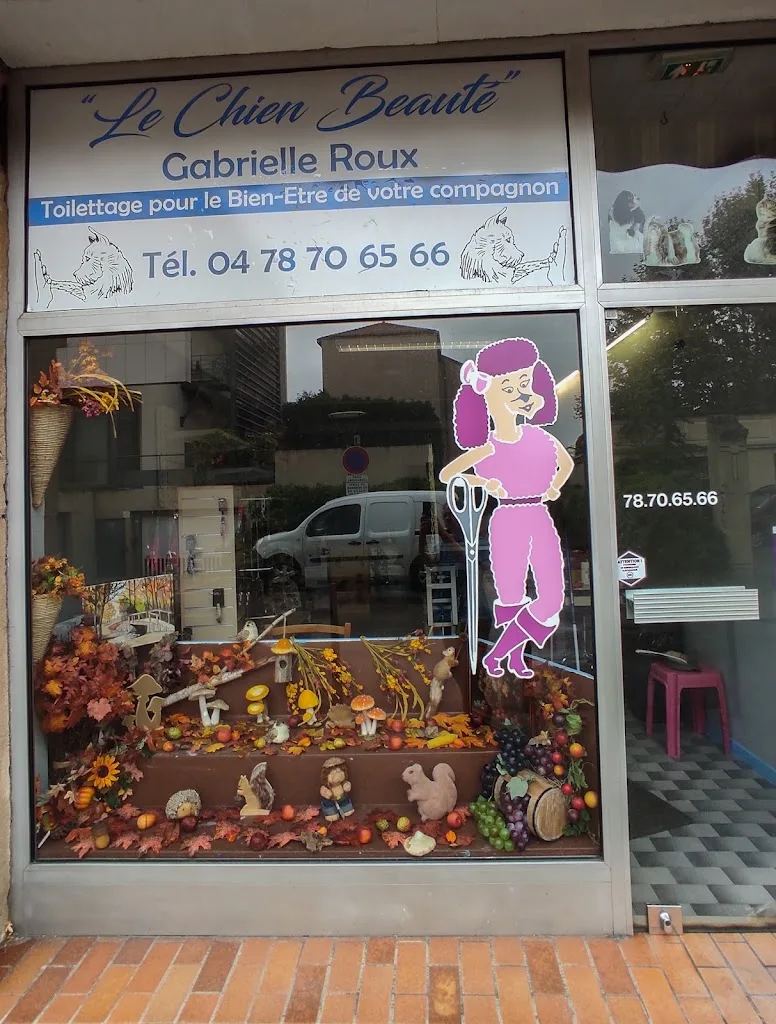 Le Chien Beaute - photo 3