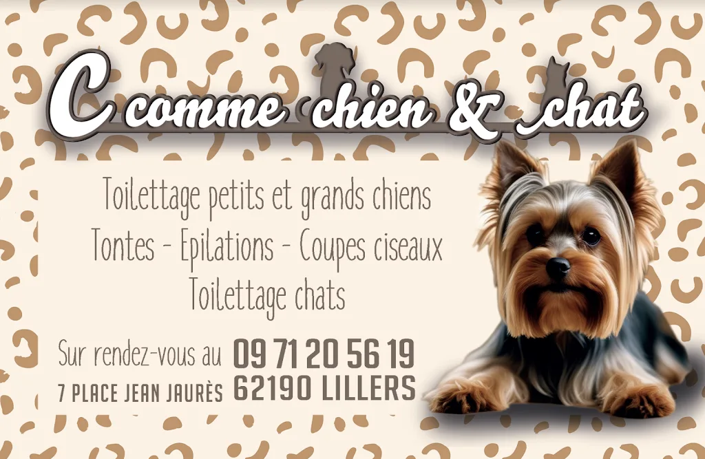 C comme chien et chat - photo 3