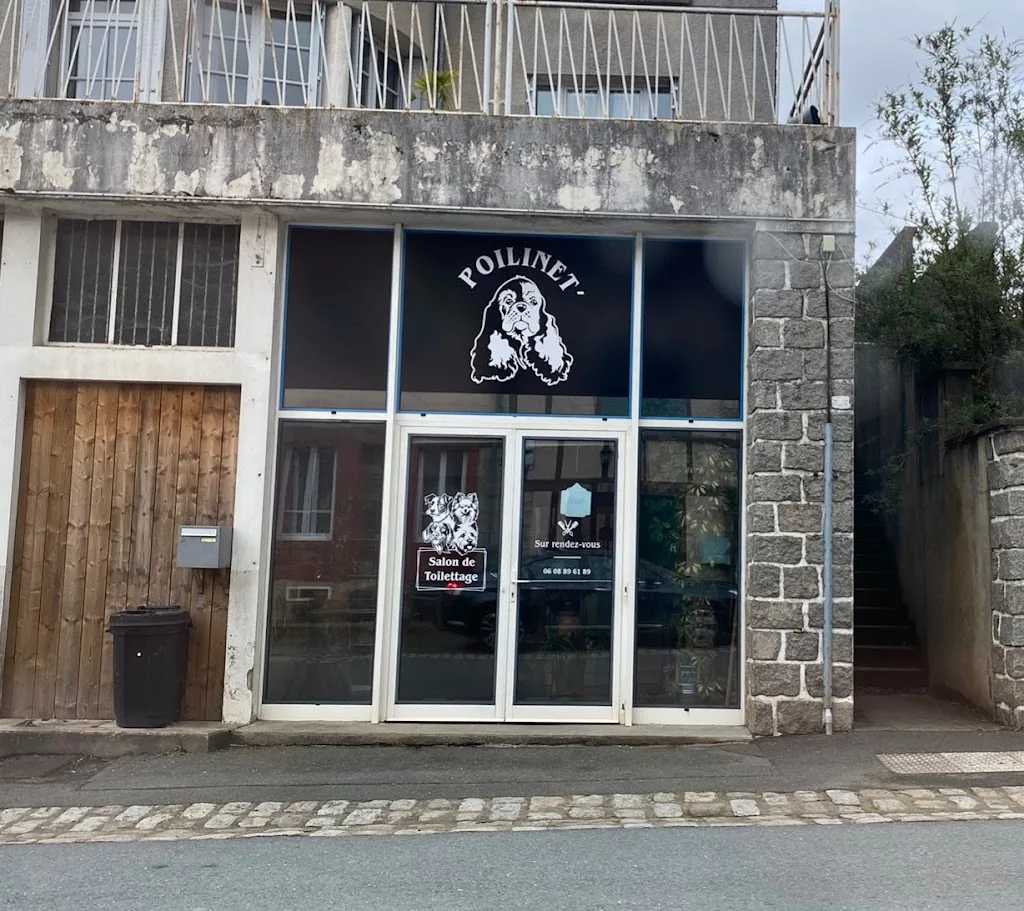Poilinet - photo 2