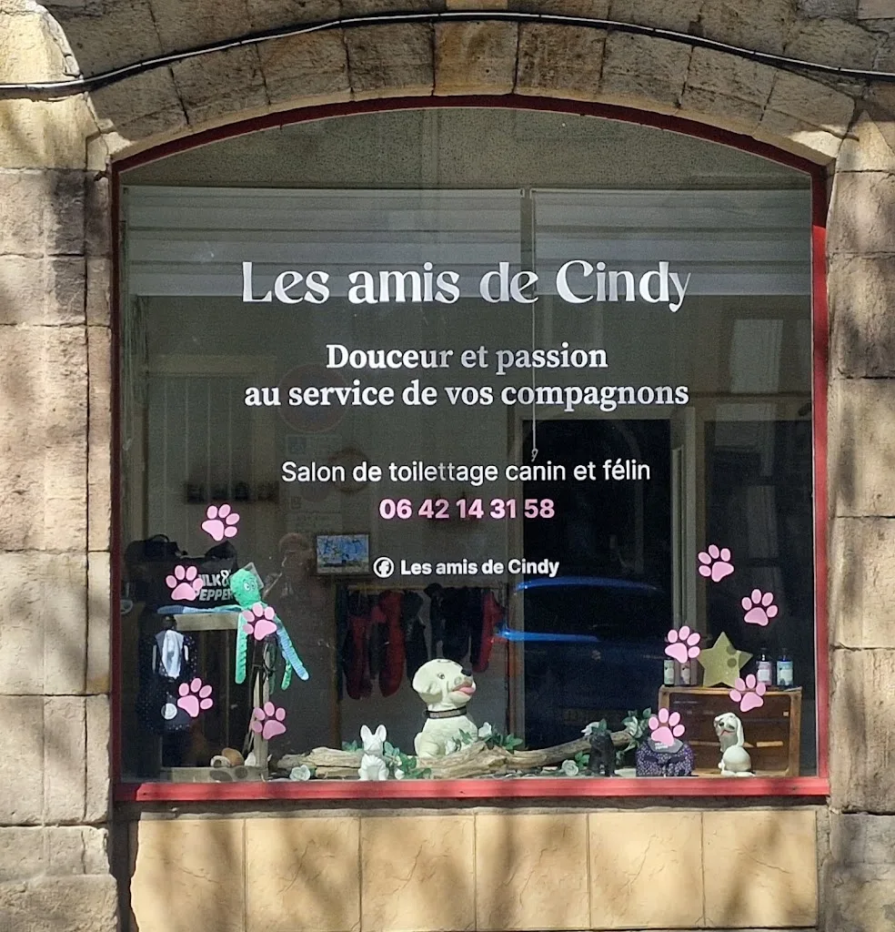 Les amis de Cindy - photo 3