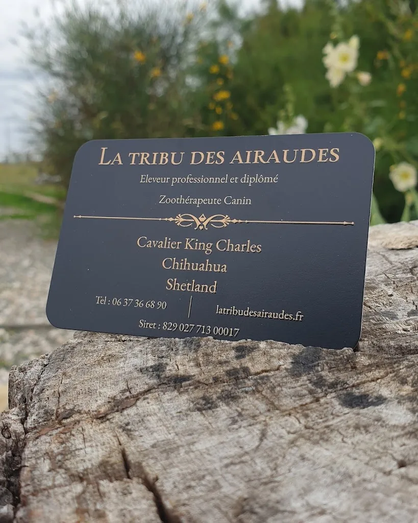 La tribu des airaudes - photo 2