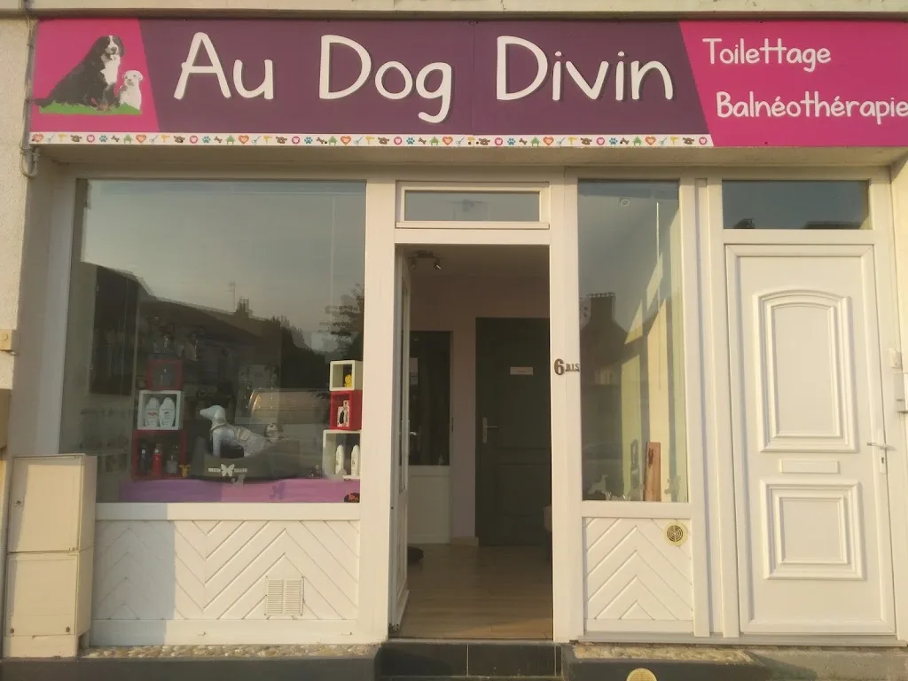 au dog divin - photo 1