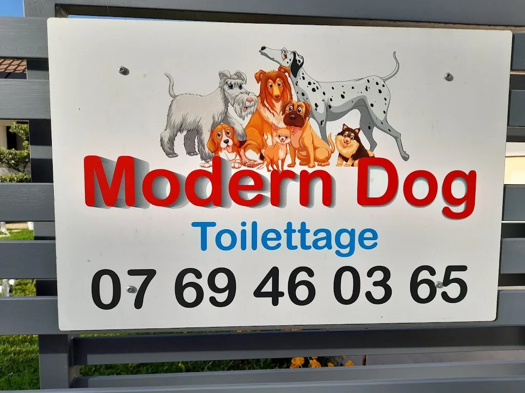 Modern dog - photo 1