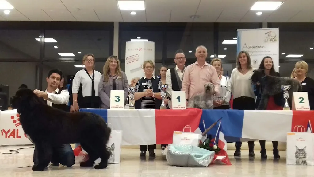 Banchereau Denis - photo 1