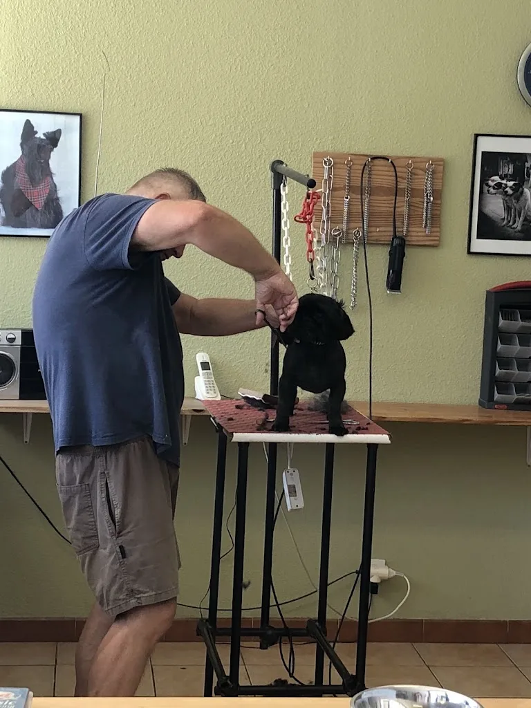 Au Nom du Chien - photo 3