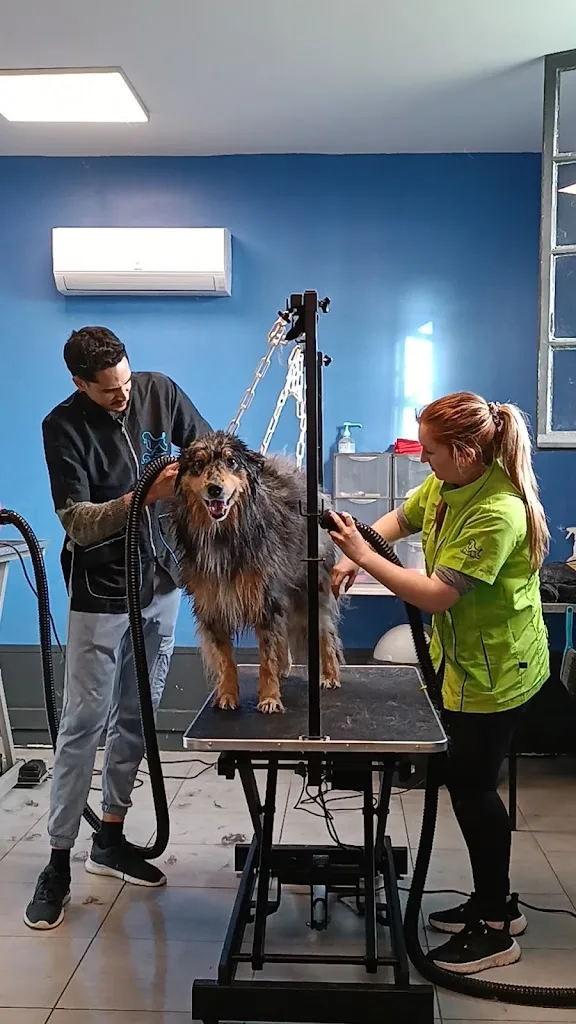 Dog N Wash Toilettage Creysse - photo 2