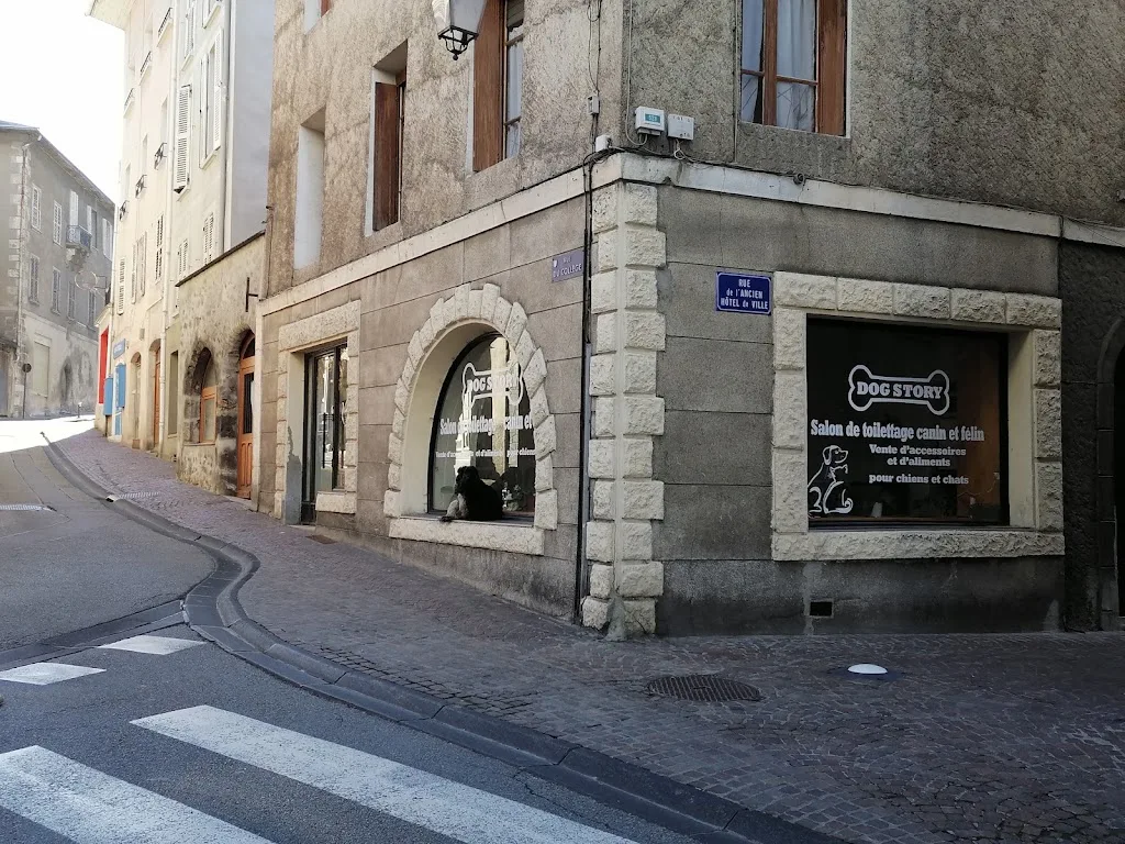 Toutou Youtou - photo 1