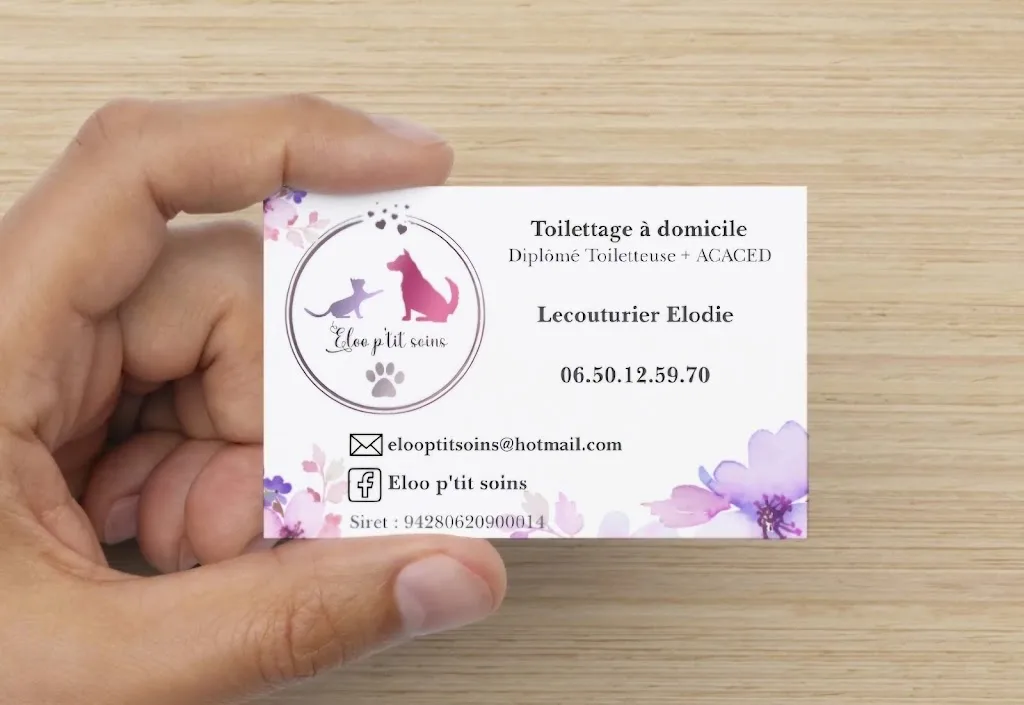 Eloo p'tit soins - Toilettage à domicile - Artisan Toiletteur - EI - photo 1