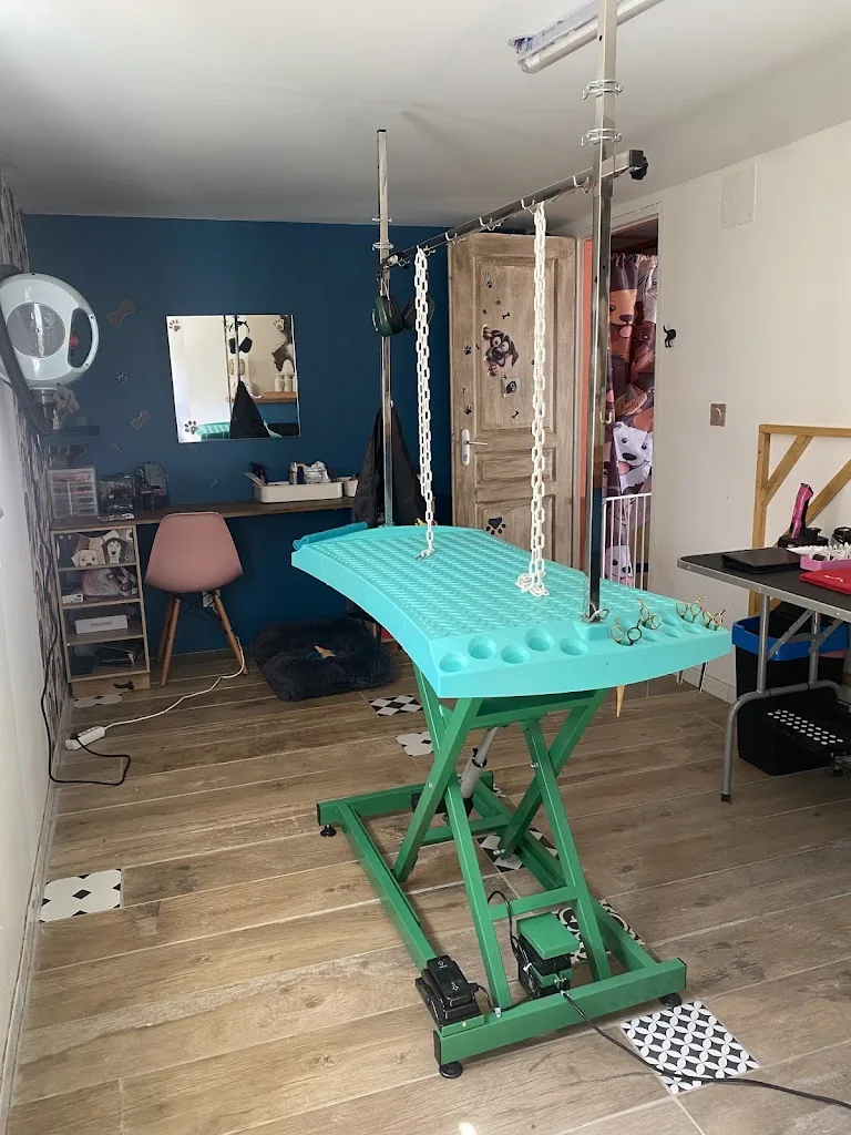 Chez réglisse - photo 1