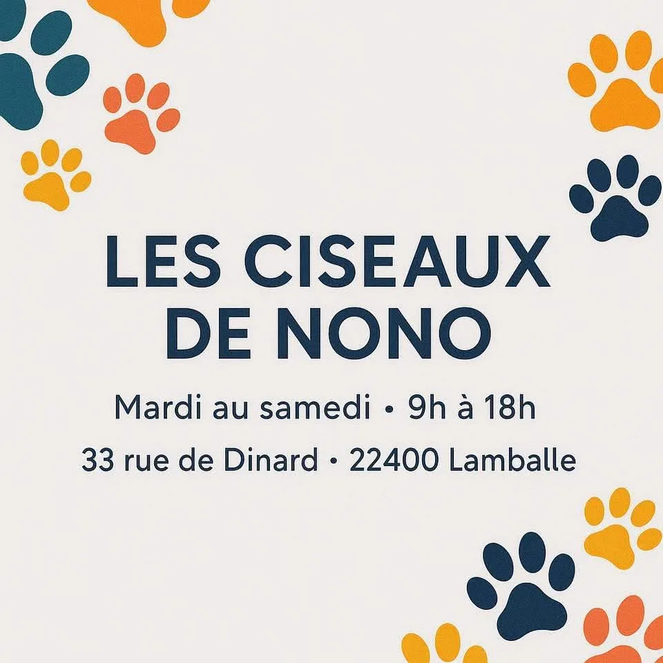 Les ciseaux de Nono - photo 1