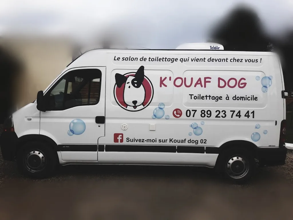 K'OUAF DOG 02 - photo 1