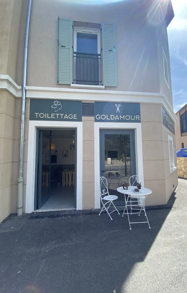 GOLDAMOUR Toilettage - photo 3