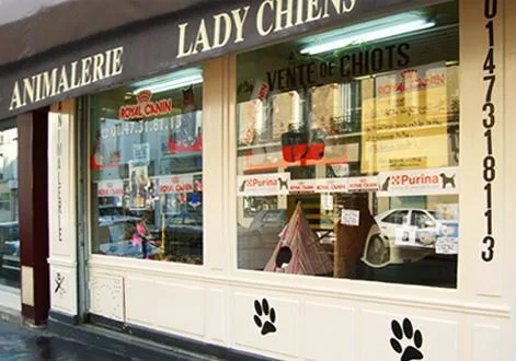 Lady Chiens - photo 2
