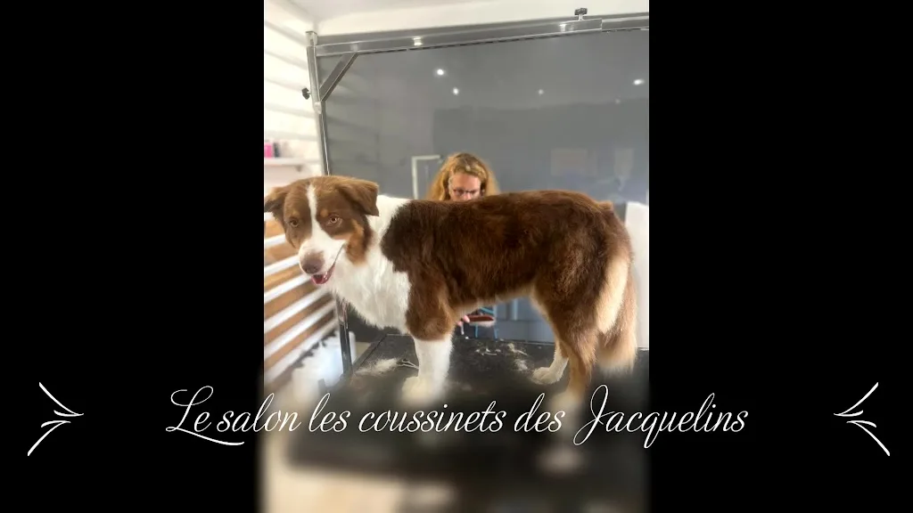 Les Coussinets des Jacquelins - photo 1