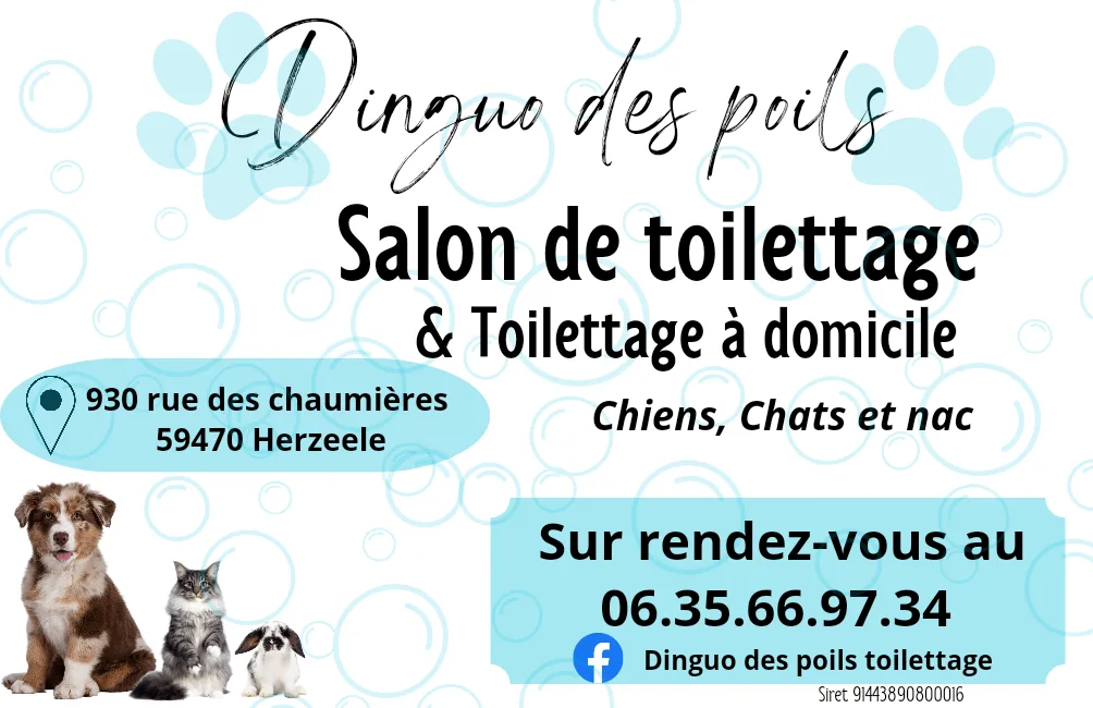 Dinguo des poils - photo 1