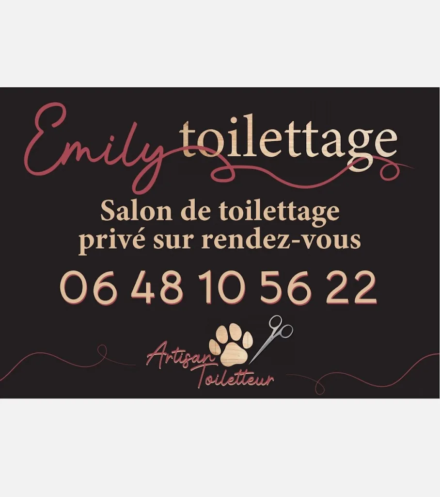 La bulle de poils - photo 1
