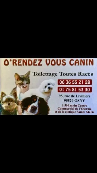 O' Rendez-vous Canin - photo 3