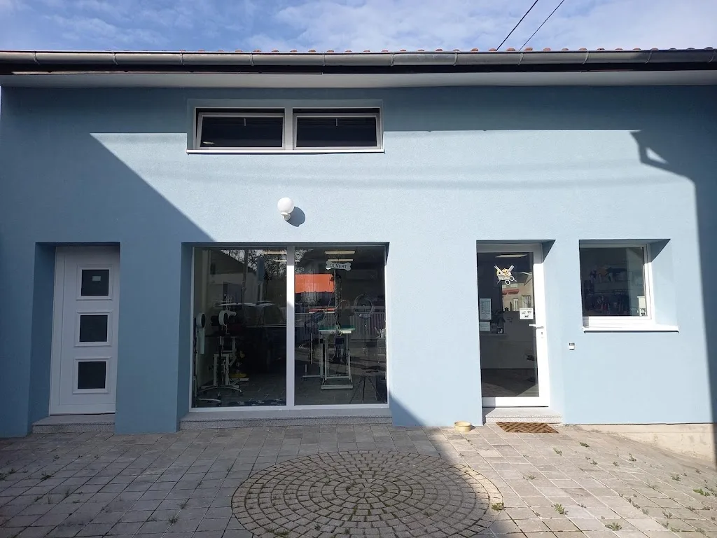 Dog Shop - photo 3