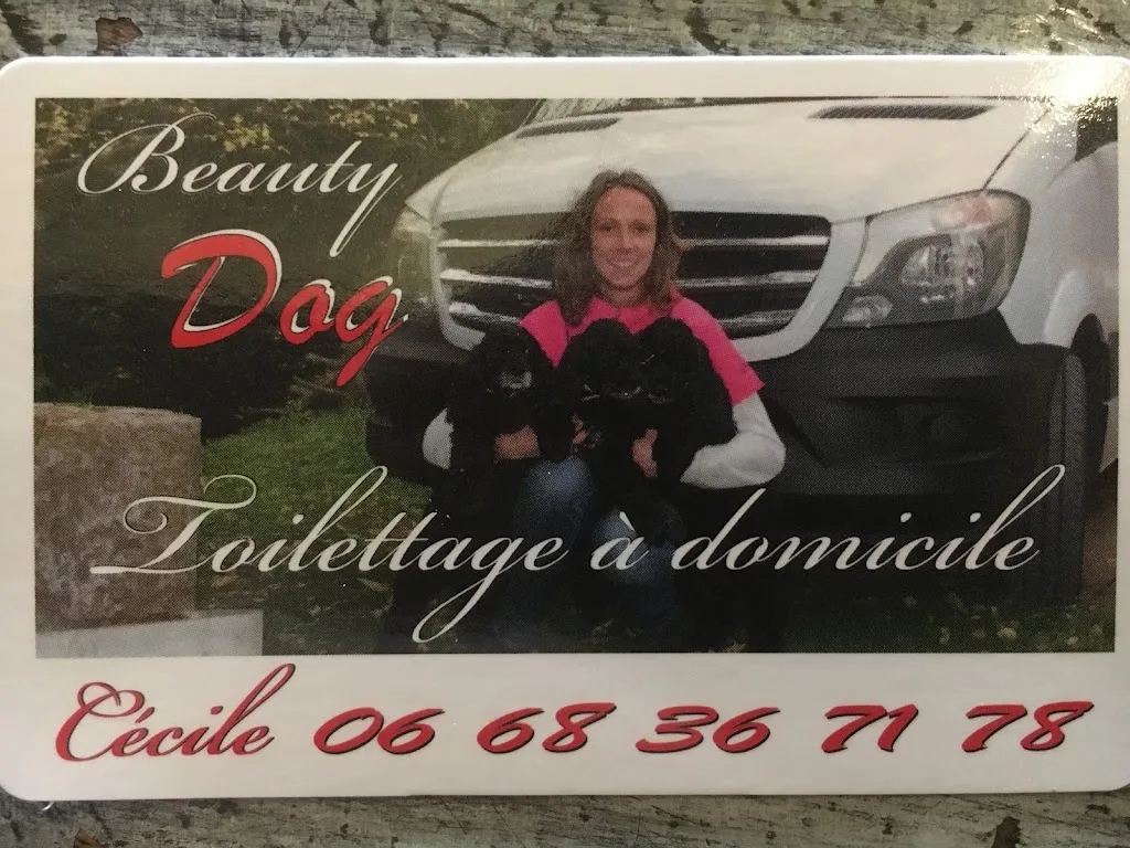 BeautyDog Toilettage à Domicile - photo 3