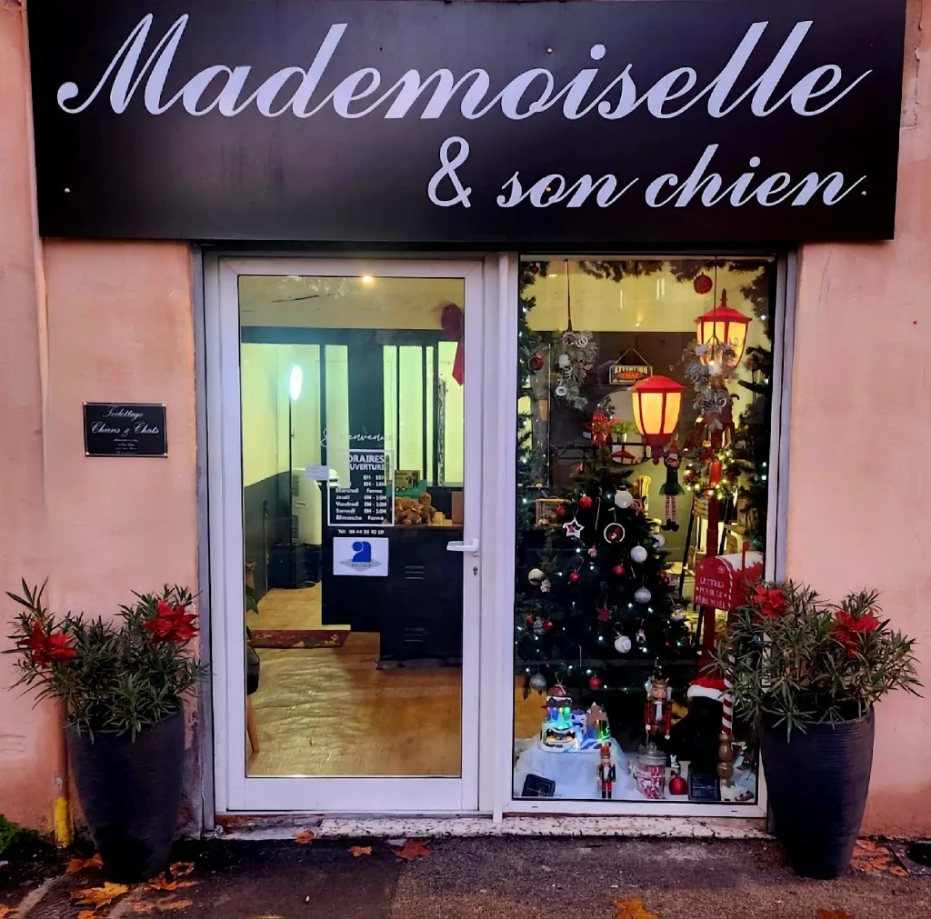 Prince du Sud - photo 3