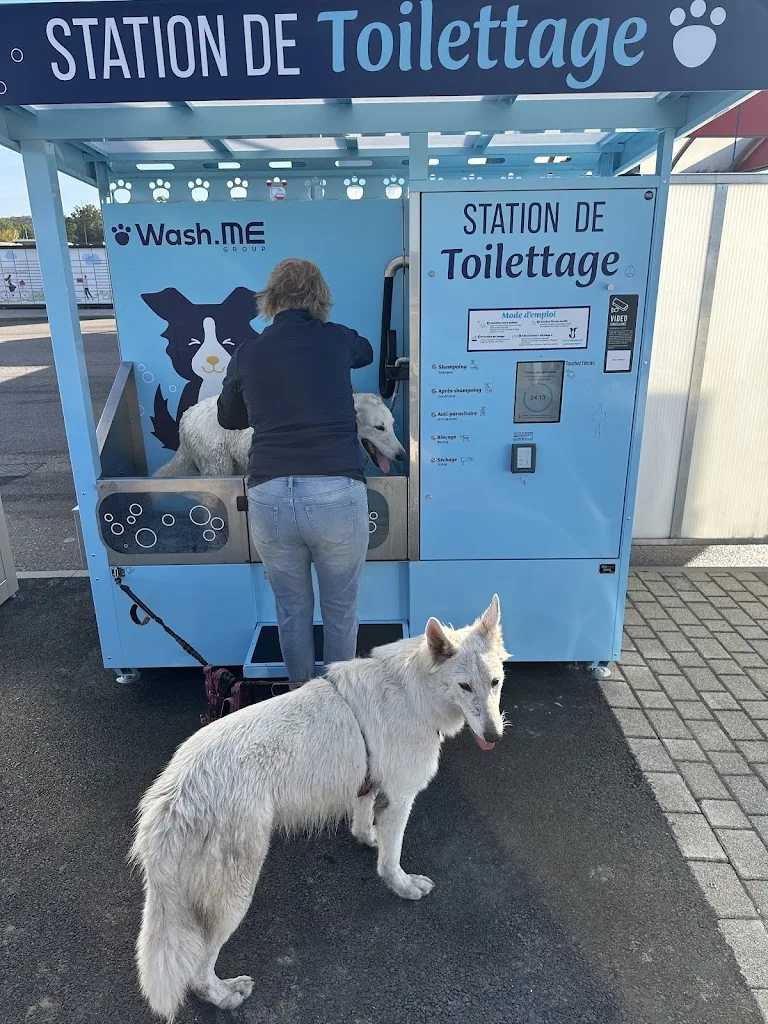 Laverie & station de toilettage - photo 2