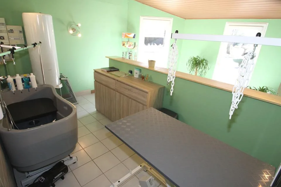 Magalie" Mille pat'hotel"- Toilettage pour chiens et chats - photo 2