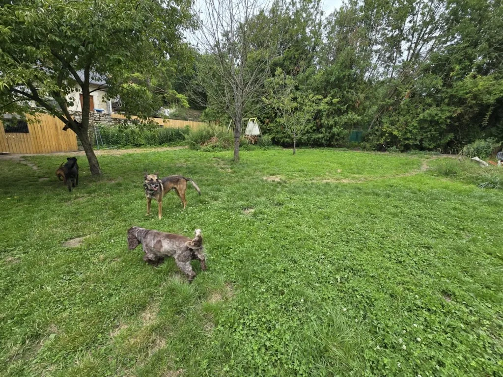 SAS La Ferme Aux animaux - photo 1