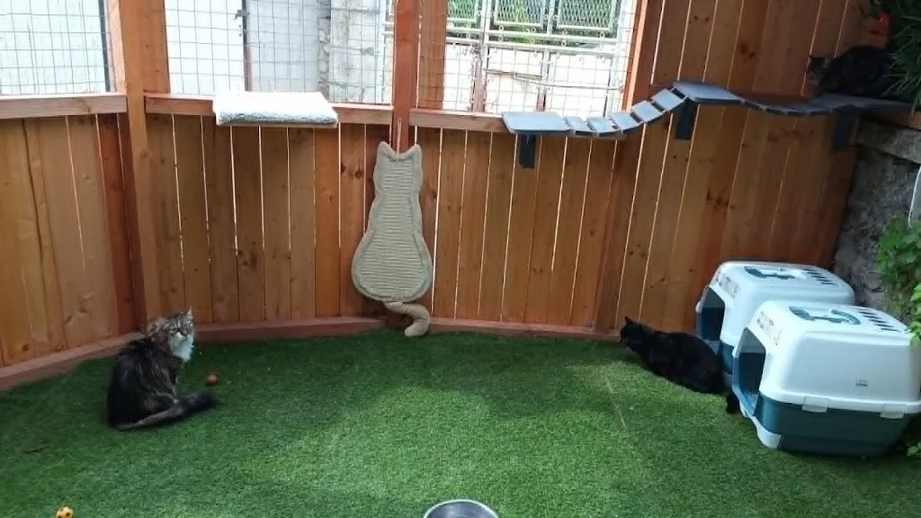 SAS La Ferme Aux animaux - photo 3