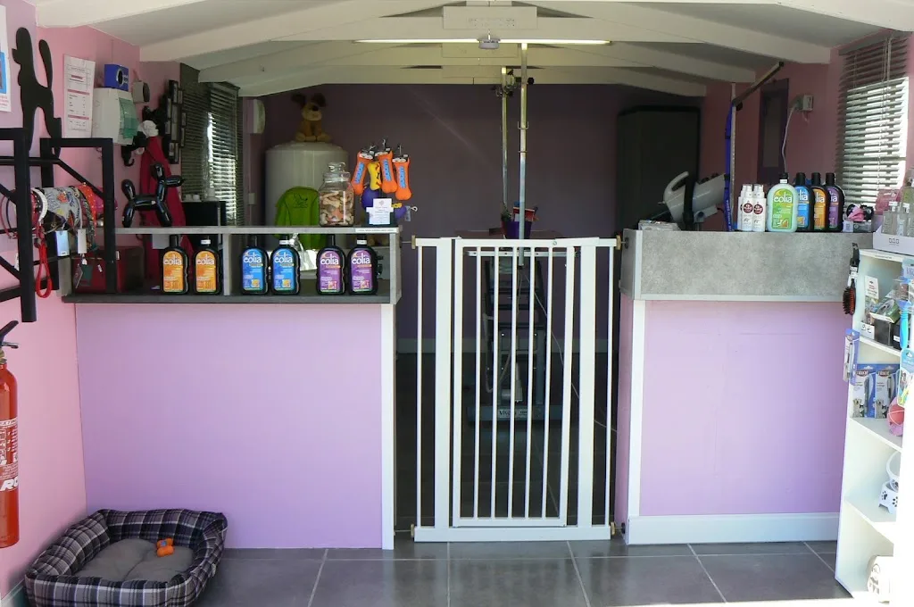 Toilettage du C3AS - photo 3