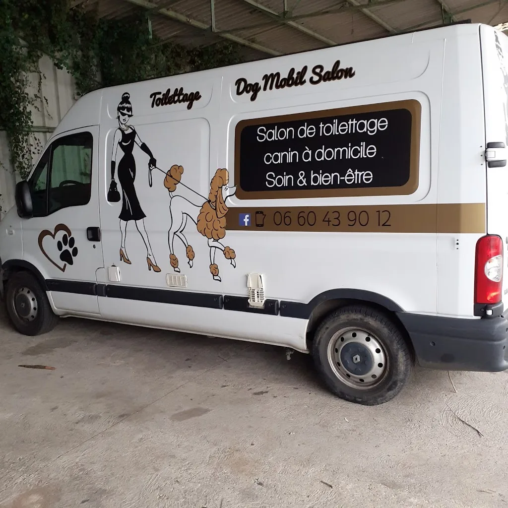 Dog mobil salon - photo 2