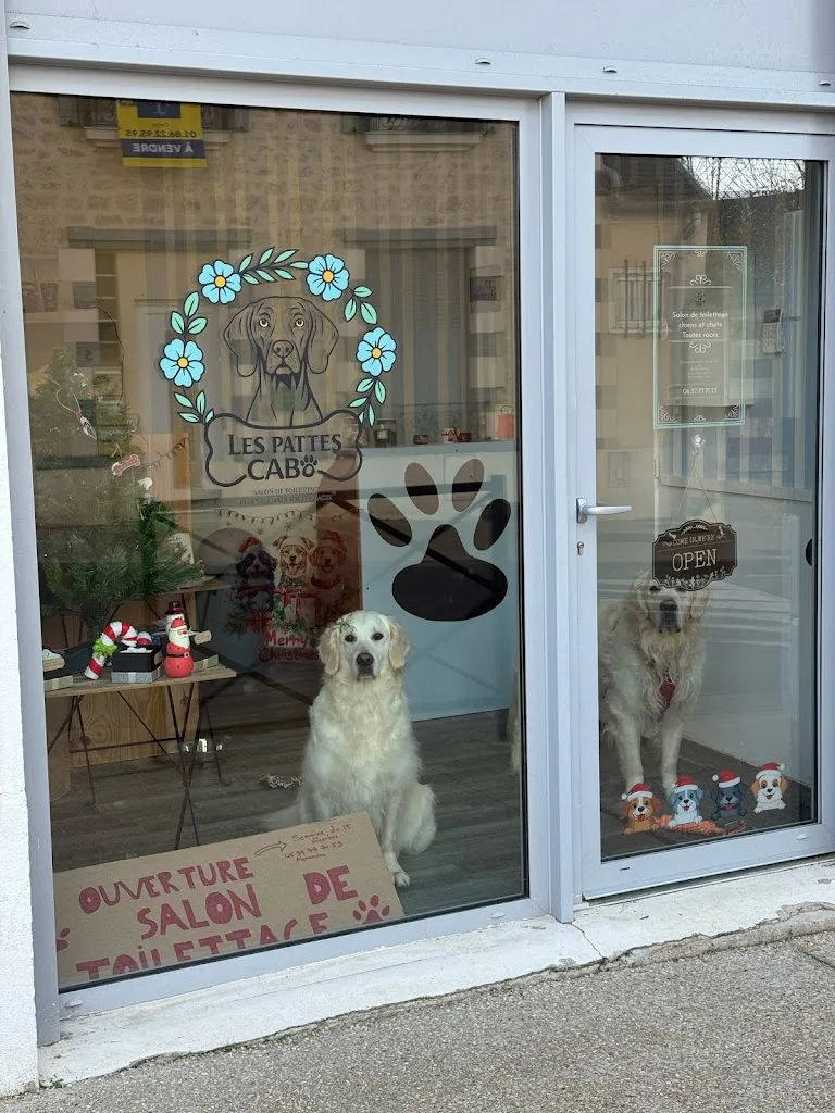 Les pattes cabo - photo 2