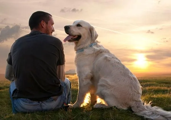 Instant canin & félin 71 - photo 2