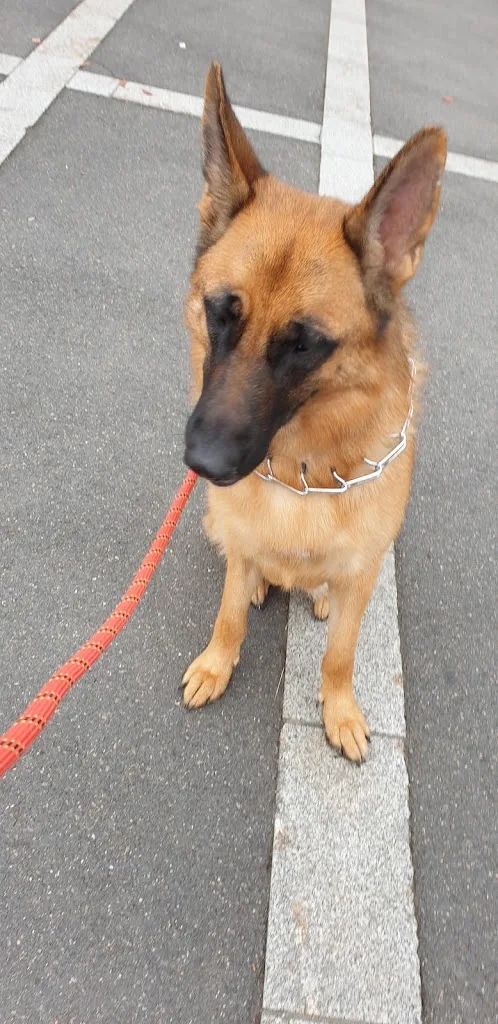 Canni'Coiff Agnès - photo 1