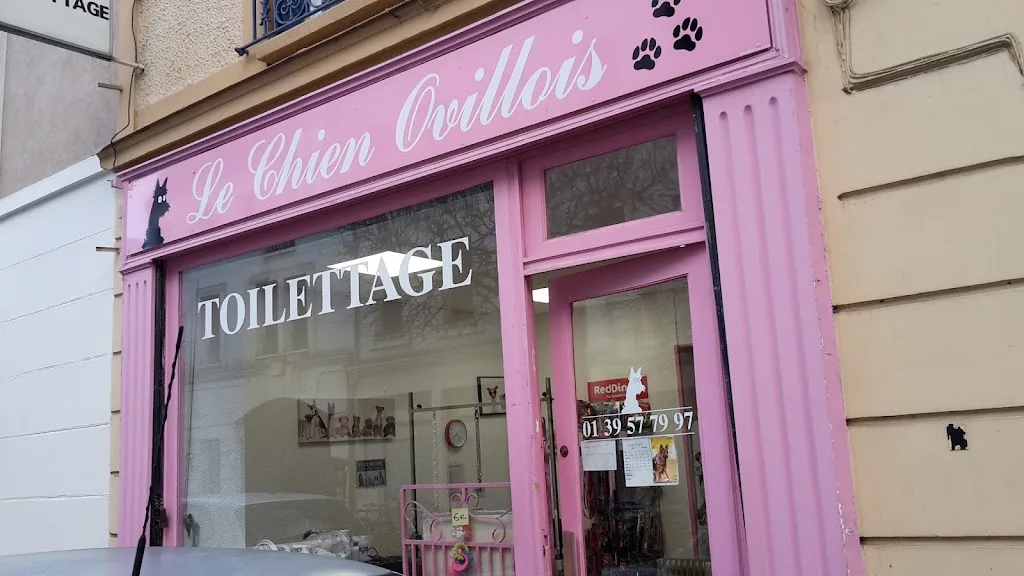 Le chien ovillois - photo 3