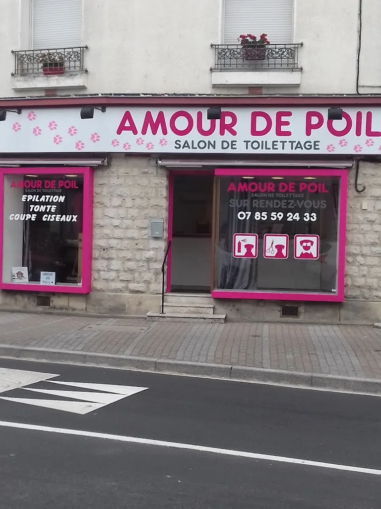 AMOUR DE POIL Salon de toilettage Centre Ville REVIGNY-SUR-ORNAIN S/O - photo 2